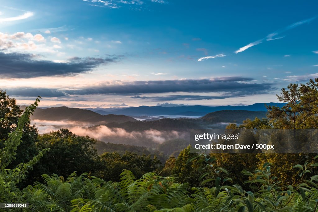 Scenic view of forest against sky during sunset,Foothills Pkwy,Tennessee,United States,USA