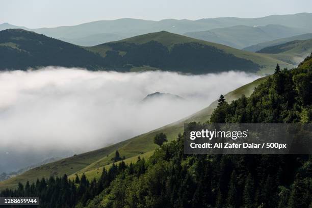 Yayla Photos And Premium High Res Pictures Getty Images yayla-photos-and-premium-high-res-pictures-getty-images