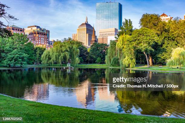 trees by lake against sky,unnamed road,united states,usa - boston massachusetts imagens e fotografias de stock
