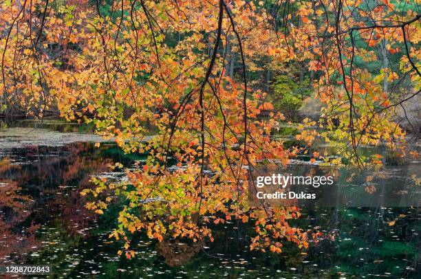 New England, Indian Summer, East, Massachusetts, Concord, Walden Pond State Reservation,.