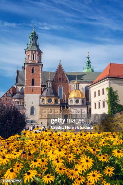 wawel cathedral in krakow - polen stock-fotos und bilder