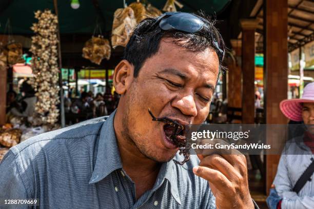 tarântula spiders, kampong cham, camboja - aranha - fotografias e filmes do acervo