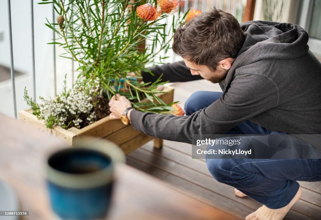 Plucking flower from plant