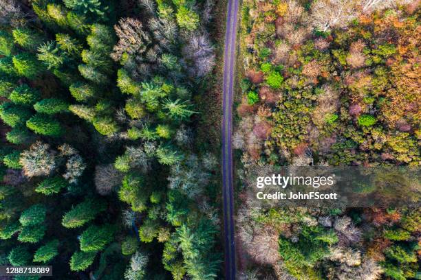 direct neer kijkend op een landelijke weg in landelijk zuidwesten schotland - galloway schotland stockfoto's en -beelden