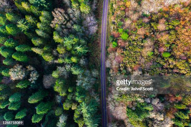 looking directly down on a rural road in rural south west scotland - dumfries and galloway stock pictures, royalty-free photos & images