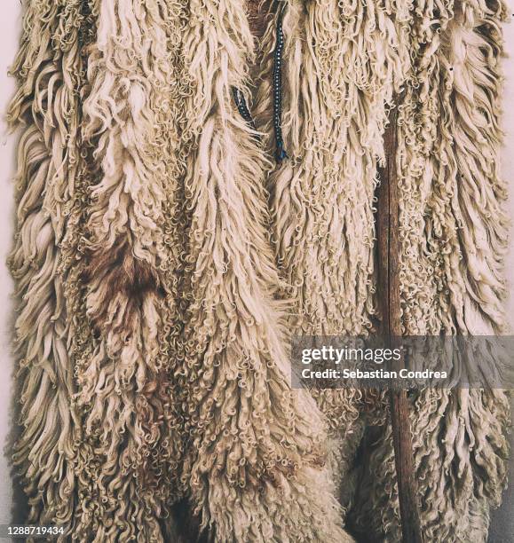 sheepskin coat, worn by shepherds caring for the sheepfold. - sheepskin stock pictures, royalty-free photos & images