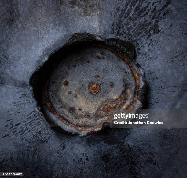 close up blueberry top - extreme close up stockfoto's en -beelden
