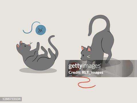 848点の猫 じゃれるイラスト素材 Getty Images 848点の猫 じゃれるイラスト素材 Getty Images