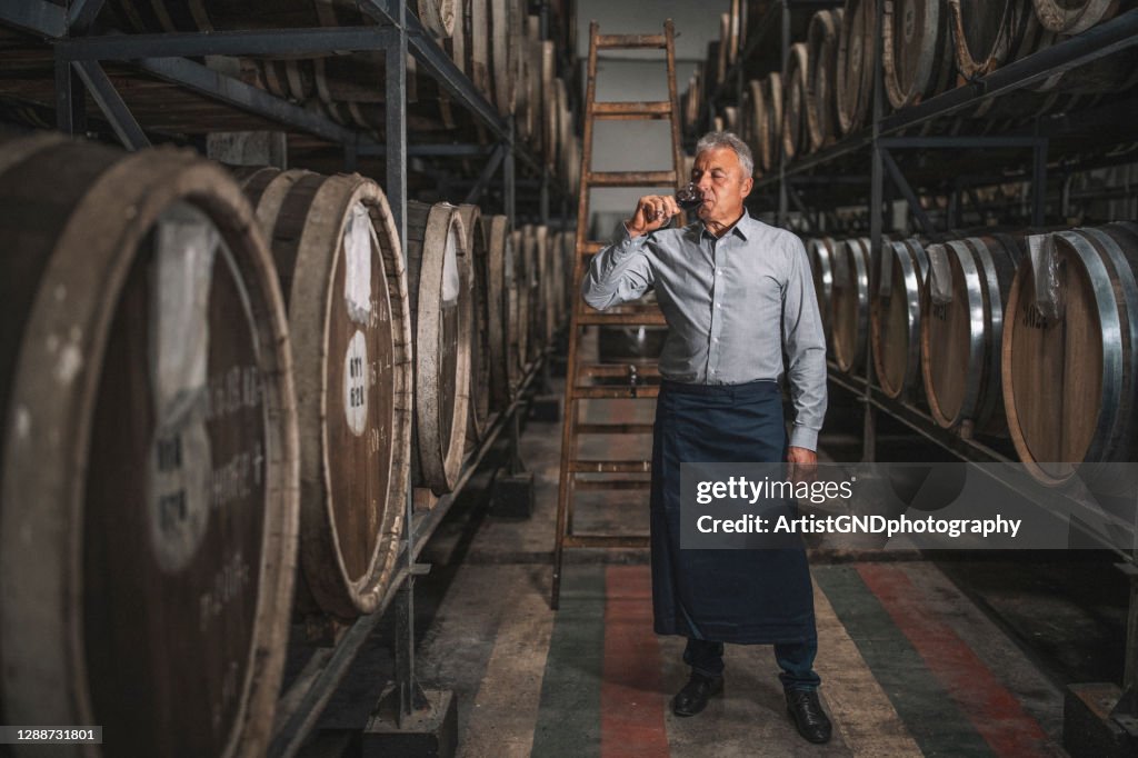 Senior sommelier provsmakning rött vin i vinkällare.