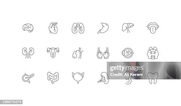 bearbeitbare icon-konzepte. gehirn, herz, kidnet, lunge, orgel icon design - inneres organ stock-grafiken, -clipart, -cartoons und -symbole