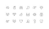 Editable Icon Concepts. Brain, Heart, Kidnet, Lung, organ Icon Design