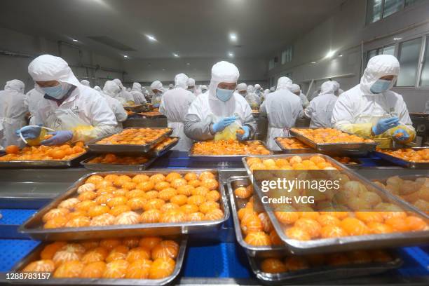 Employees work on the production line of canned orange for export at a food factory on December 1, 2020 in Huaibei, Anhui Province of China.