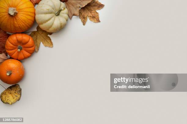 herbsthintergrund - flaschenkürbis stock-fotos und bilder