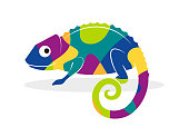 Colorful chameleon representing adaptation