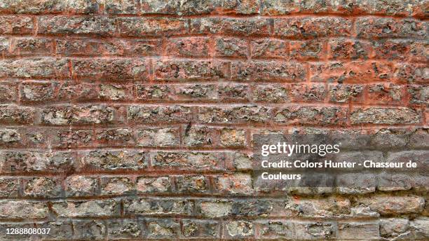antique brick wall with natural patina and texture in lille - nord stock pictures, royalty-free photos & images