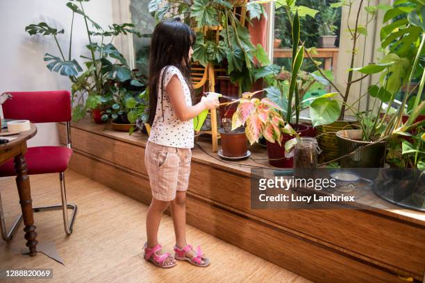 eight year old girl spraying plants - girl sandals stock pictures, royalty-free photos & images