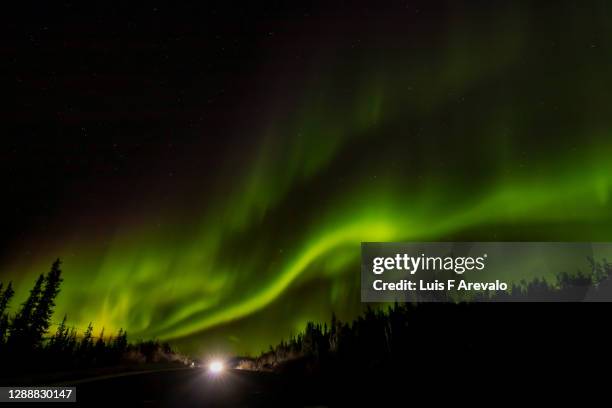 3 379点のカナダ オーロラのストックフォト Getty Images 3 379点のカナダ オーロラのストックフォト Getty Images