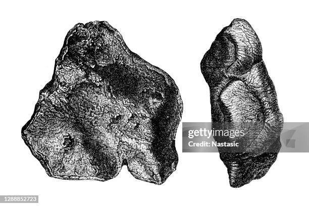 stannern meteorit, aus meteoritenschauer am 22. mai 1808 in stonaov ( deutsch: stannern), heute tschechische republik - meteor shower stock-grafiken, -clipart, -cartoons und -symbole