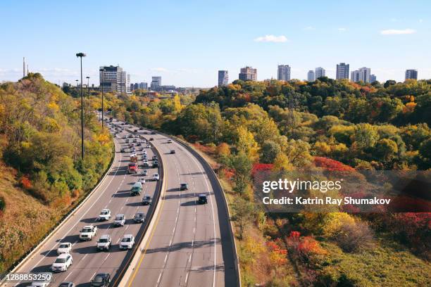 colourful nature: highway into autumn - day toronto stockfoto's en -beelden
