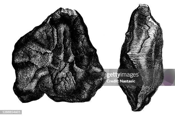 stannern meteorit, aus meteoritenschauer am 22. mai 1808 in stonaov ( deutsch: stannern), heute tschechische republik - meteor shower stock-grafiken, -clipart, -cartoons und -symbole