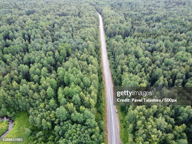 aerial view of road amidst trees in forest,lomonosovskydistrict,leningradoblast,russia - pavel talashov stock-fotos und bilder