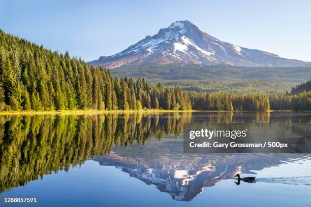 scenic view of lake by mountains against sky,mt hood,oregon,united states,usa - gary hood photos et images de collection