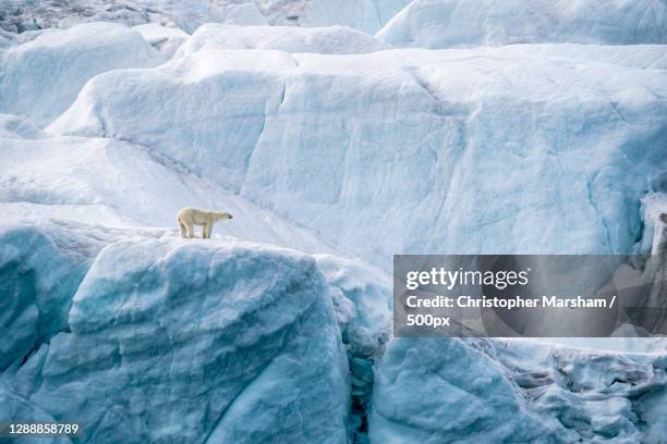scenic view of glacier,franz joseph land,russia - arctique photos et images de collection