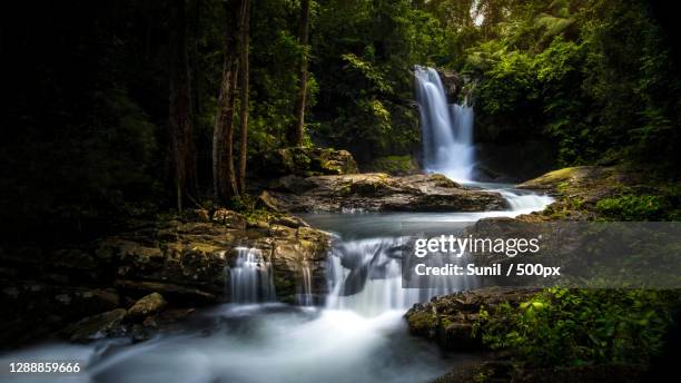 scenic view of waterfall in forest,thiruvananthapuram,kerala,india - kerala waterfall stock pictures, royalty-free photos & images