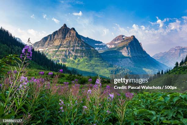 scenic view of mountains against sky,glacier national park,montana,united states,usa - glacier national park montana stock pictures, royalty-free photos & images