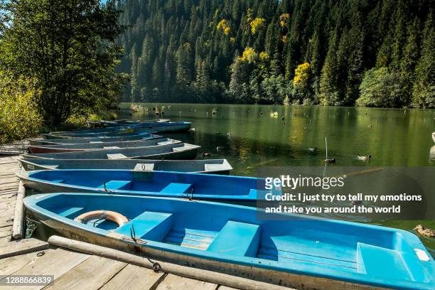lacul rosu, harghita - romania, europe - moldavia stock pictures, royalty-free photos & images
