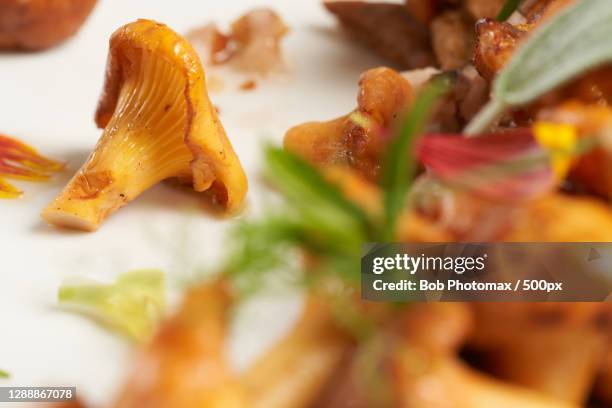 close-up of food,avenue de la gare,france - fraicheur stock pictures, royalty-free photos & images