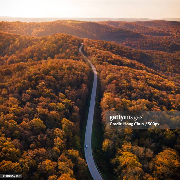 aerial view of road amidst trees during autumn,arkansas,united states,usa - arkansas foto e immagini stock