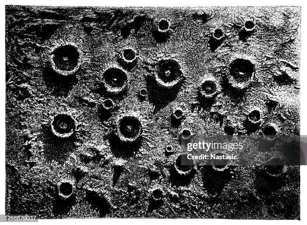 illustrations, cliparts, dessins animés et icônes de surface volcanique de la lune - cratère volcanique
