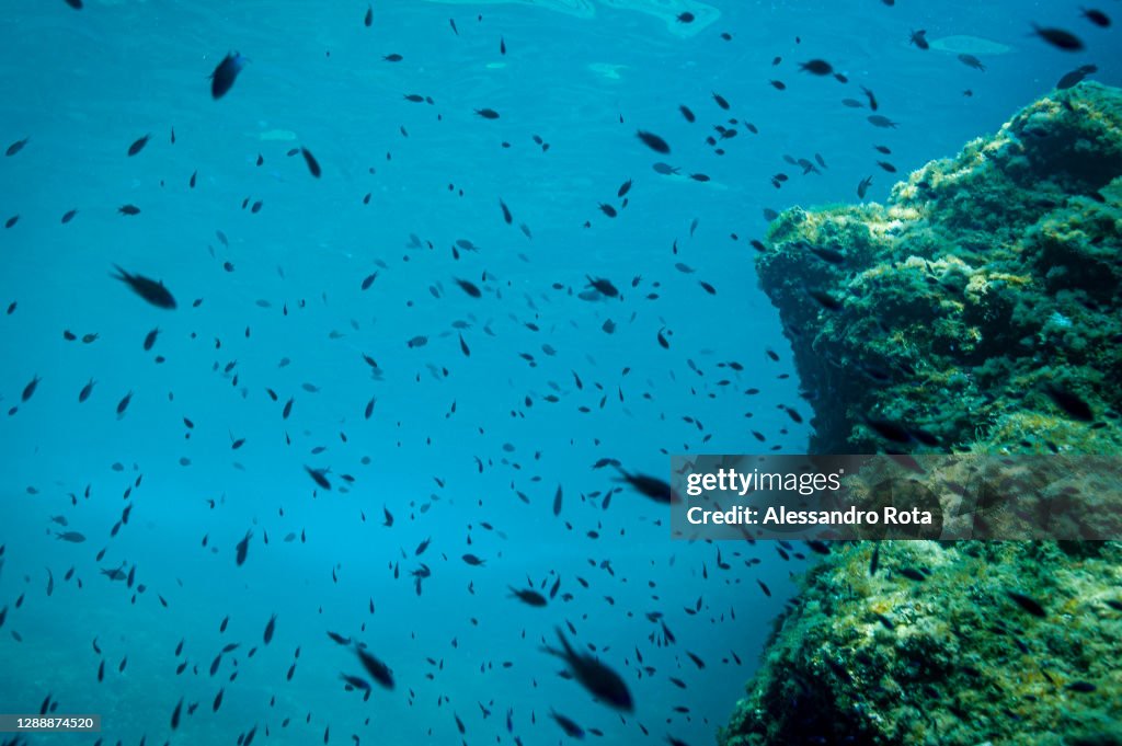 Levanto (SP) Cinque Terre