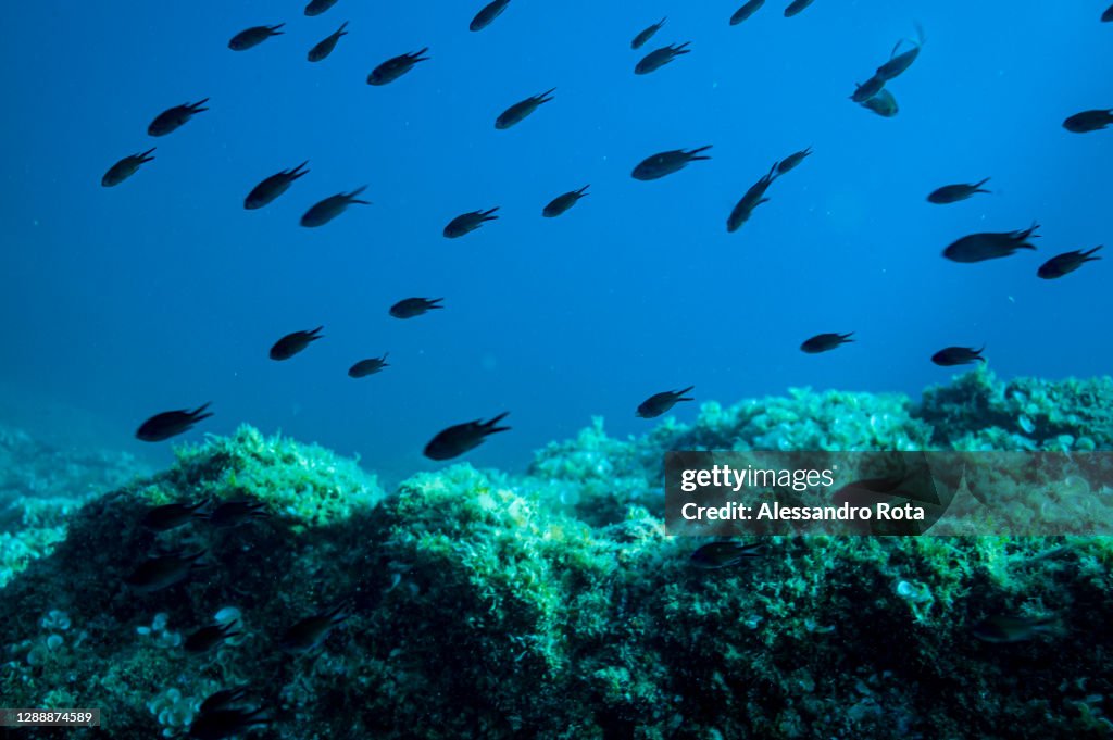 Levanto (SP) Cinque Terre