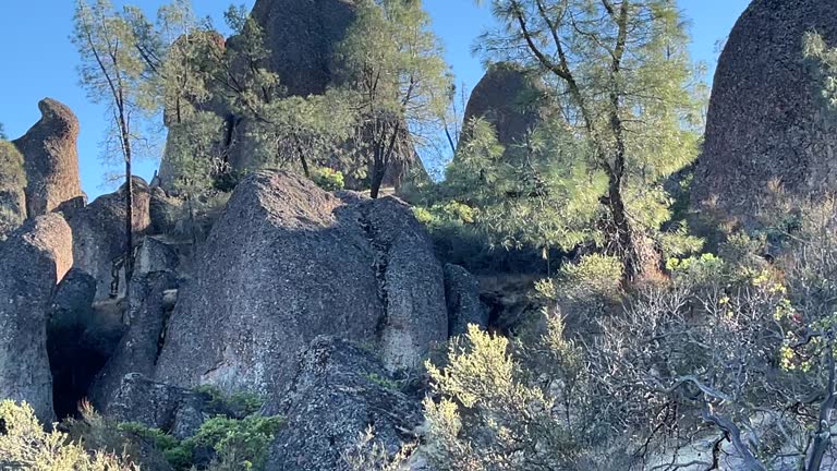 Talcous Rocks 199 Don Smith Pinnacles National Park Stock Videos, Footage, & 4K Video ...