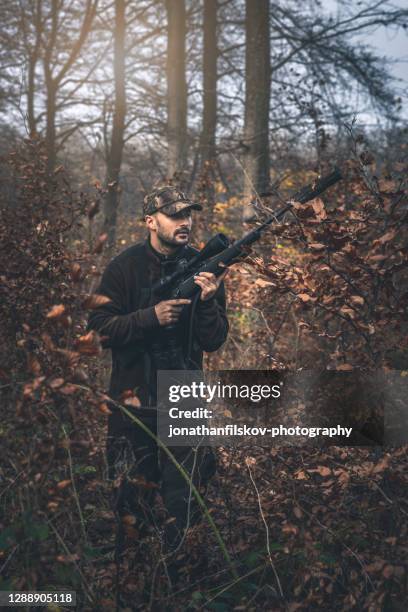 jager met geweer het stalken herten - stalking animal hunting stockfoto's en -beelden