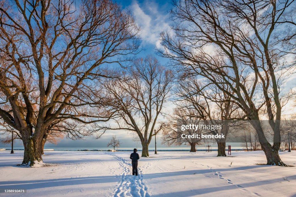 Person walking in snow Toronto Canada