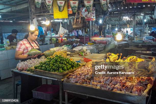 étal de viande au marché de koh samui en thaïlande - province de surat thani photos et images de collection