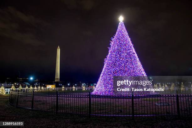 The National Christmas Tree is lit up outside the Ellipse park south of the White House on December 1, 2020 in Washington, DC. The 98th annual...