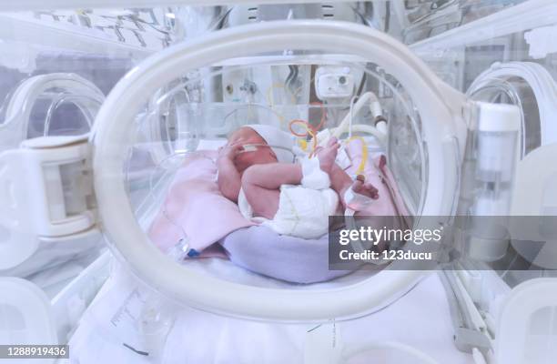 vorzeitiges baby in nicu - premature baby incubator stock-fotos und bilder