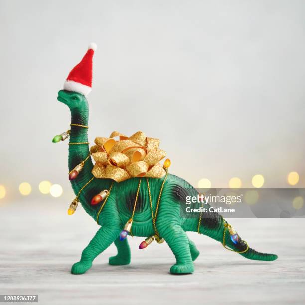 fondo navideño con dinosaurio envuelto en luces de navidad y arco - funny christmas gift fotografías e imágenes de stock