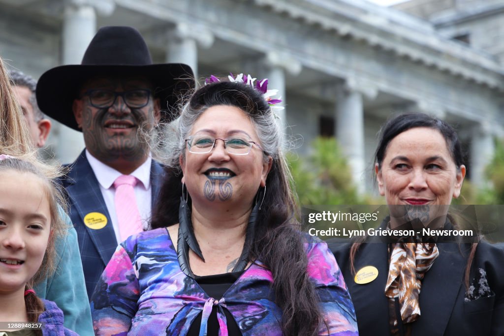 Petitions In Support Of Māori Wards Presented In Wellington