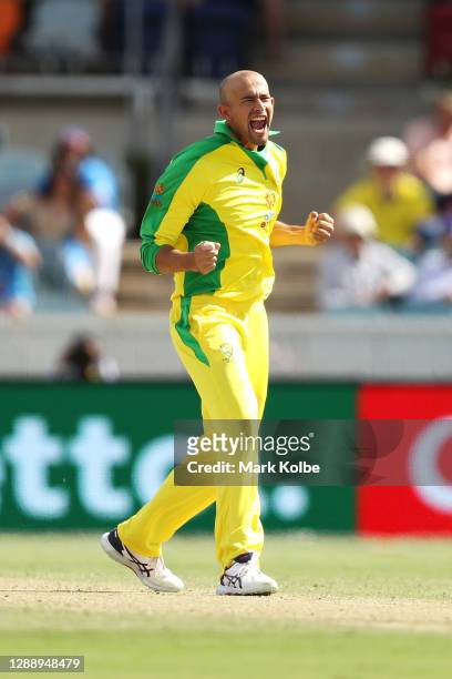 Ashton Agar of Australia of Australia celebrates with his team after taking the wicket of KL Rahul of India during game three of the One Day...