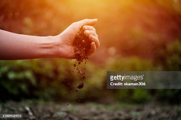 hand holding dry soil with craked soil surface background - ground culinary imagens e fotografias de stock