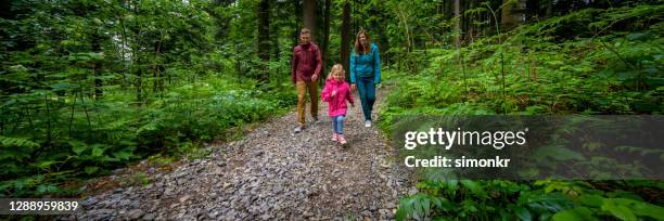 family walking together in forest - family panoramic stock pictures, royalty-free photos & images