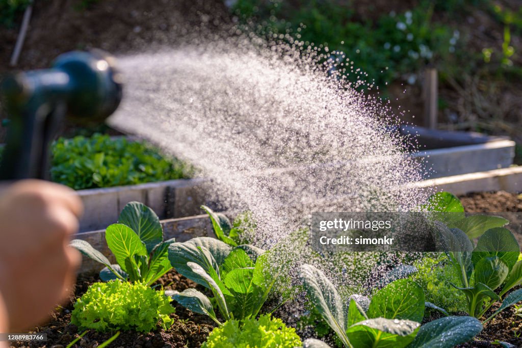Impianti di irrigazione delle mani umane