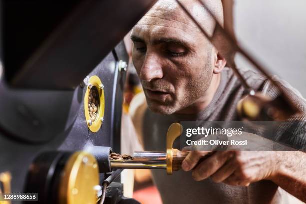man examining quality of coffee beans at coffee roasting machine - food processing plant stockfoto's en -beelden