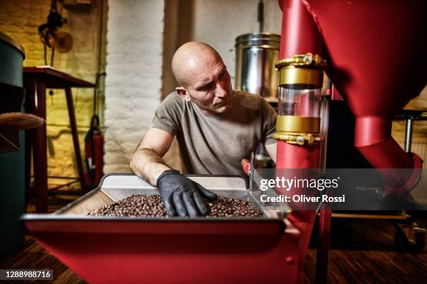 man examining quality of coffee beans at coffee roasting machine - 焙煎 ストックフォトと画像