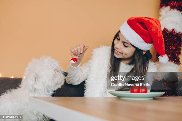 let's share stock photo - dog eating a girl out stock pictures, royalty-free photos & images